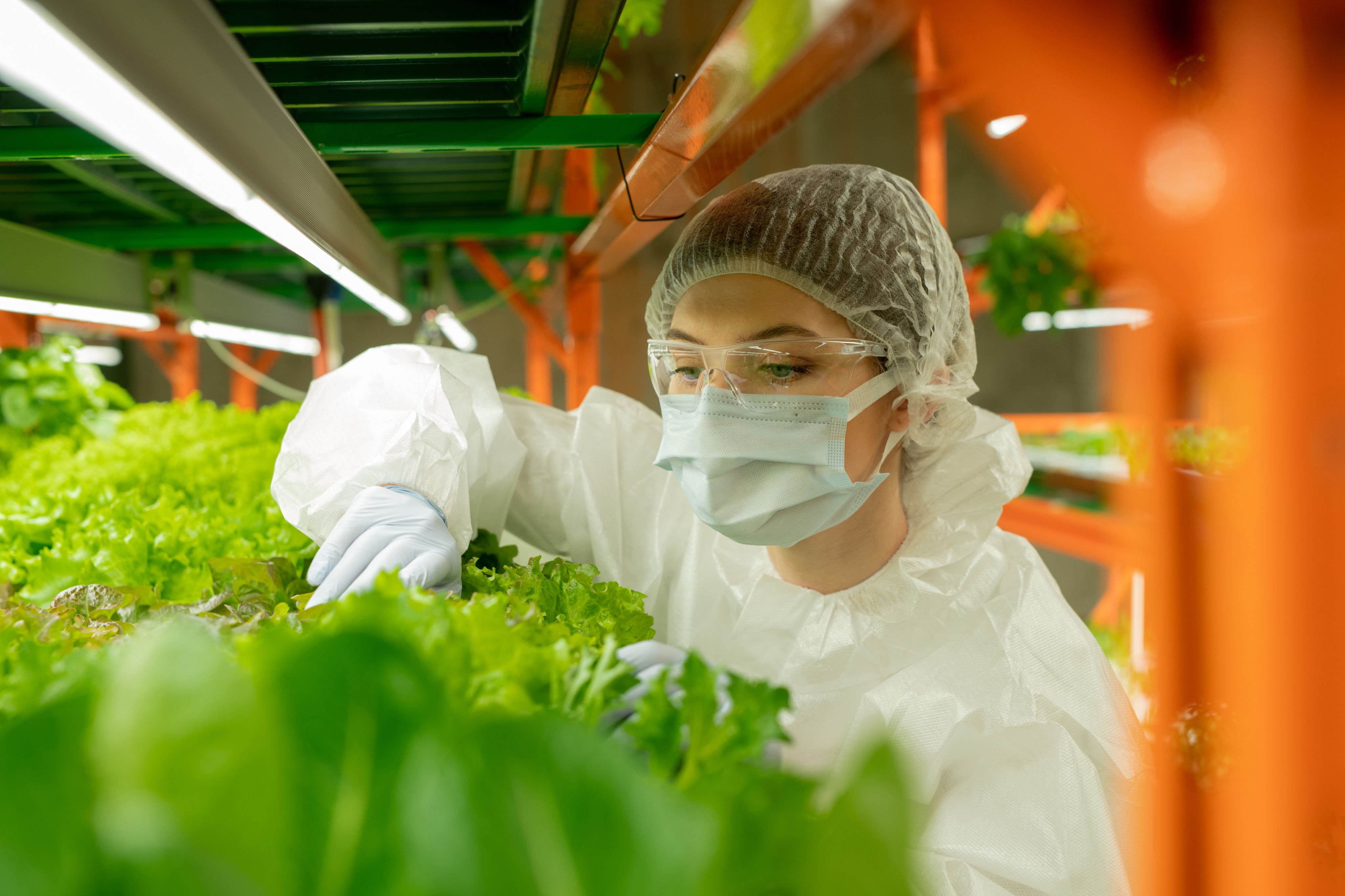 AgriGenome agricultural genomics